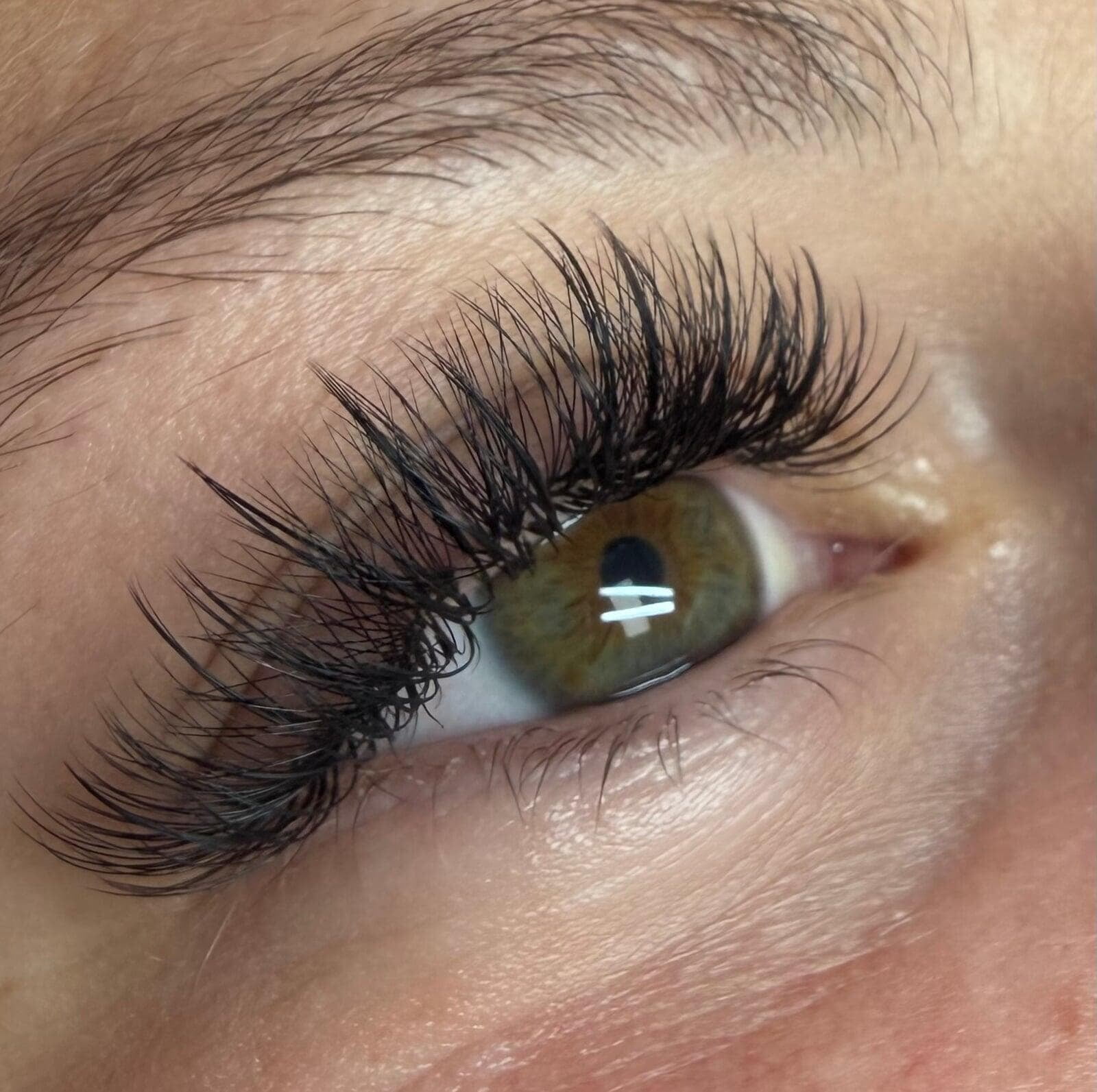 Wispy  Hybrid